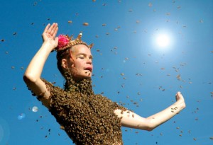 Queen of The Sun: What Are The Bees Telling Us? movie scene