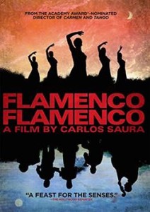 FlamencoDVD