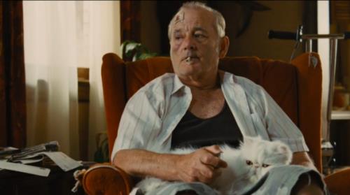 Blu-ray, DVD Release: St. Vincent